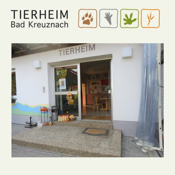 Tierheim Bad Kreuznach