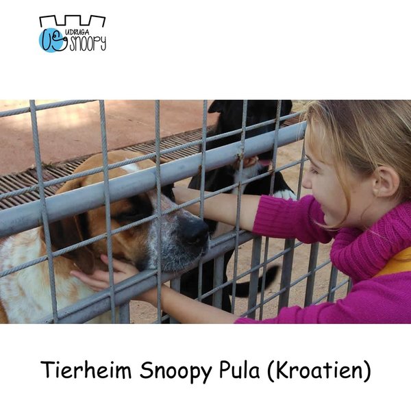 Tierheim Snoopy Pula (Kroatien)